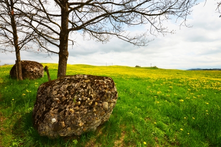 Meadow with boulderの写真素材