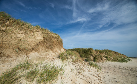 dunes on a stormy sunny day at the coast of North Seaの写真素材