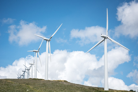 windmill powered plant on Hilltop