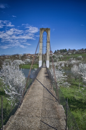 Old Bridgeの写真素材