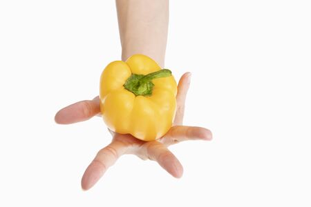 closeup of holding one fresh yellow pepper in hand with white background.の写真素材