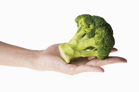closeup of holding broccoli in hand with white background.の写真素材