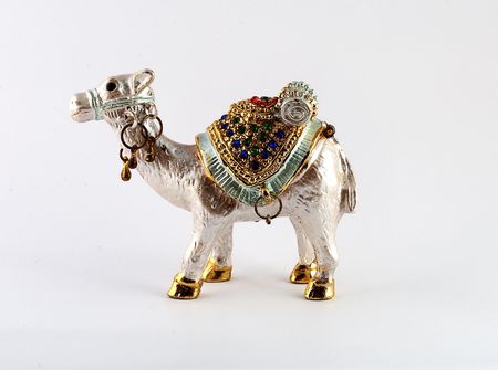 Camelの写真素材