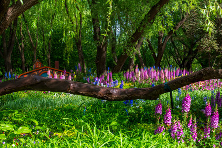 Purple Foxglove flowers in the garden with tree branch in the background.の写真素材