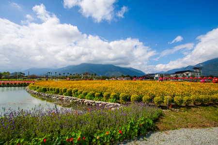 Flower valley with spring blossom in Taidongの写真素材