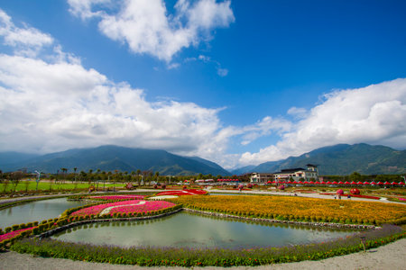 Flower valley with spring blossom in Taidongの写真素材
