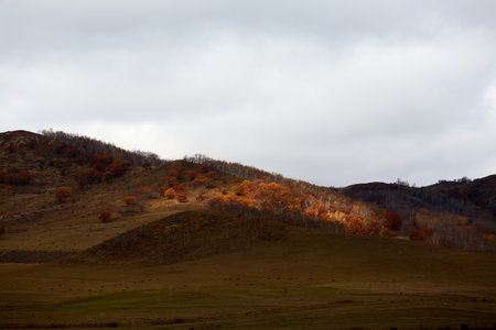 Autumn mountain forest multicolored scenery and light effects on Ulan Butong Grassland, China