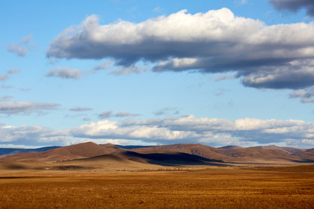 Sunset illumination of grassland hill pasture sceneryの写真素材
