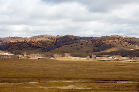 Autumn meadow and grassland scenery