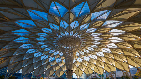 Art Roof with Unique Geometry