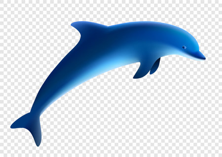 Blue dolphin jumps. Vector illustration.  Jumping dolphin play, transparent background.のイラスト素材