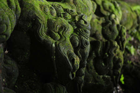 Close-up of the head of a dragon on the rock.の写真素材