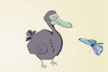 Cartoon dodo looking at the butterfly. Vector illustration.のイラスト素材
