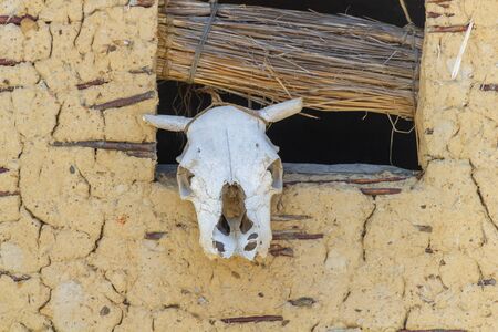 Skull of a cow hanging at one of the houses of the Bay of Bones in Macedoniaの写真素材