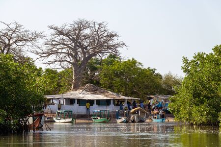 LAMIN, GAMBIA- JAN 5, 2014: Boat trips trough the mangroves starts here at Lamin Lodgeのeditorial素材