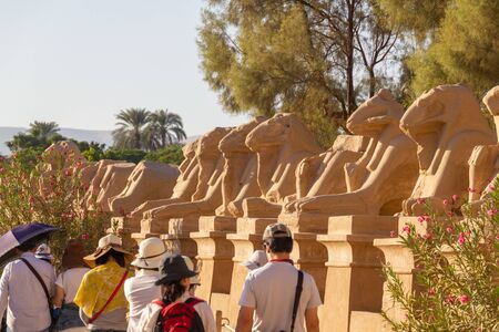 Ram statues in the sun at the Karnak templeのeditorial素材