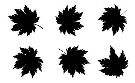 silhouette of maple leaves set. vector illustration.のイラスト素材