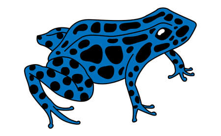 blue dart frog vector illustration isolated on white backgroundのイラスト素材