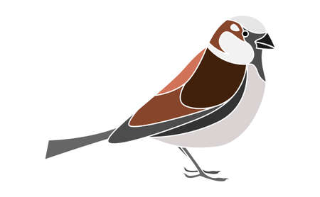Sparrow bird isolated on white background EPS10のイラスト素材
