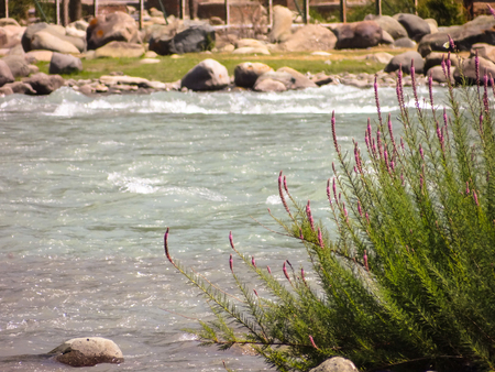 And quietly flows the don