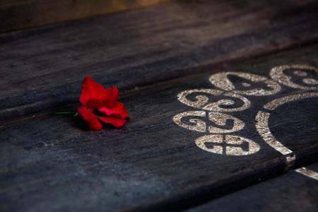 fallen red roseの写真素材