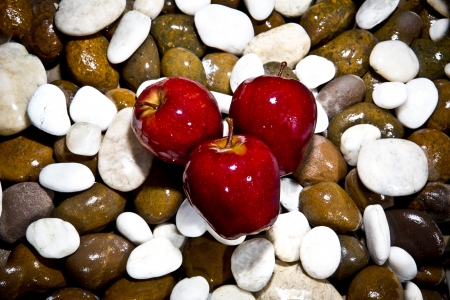 red appleの写真素材