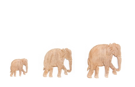elephants woodの写真素材