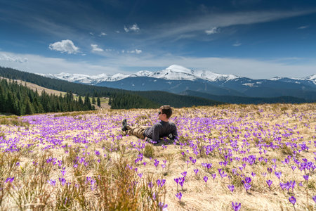 Young hiker having a rest in a meadow full of purple crocus in the mountainsの写真素材