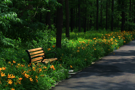 park Sceneryの写真素材