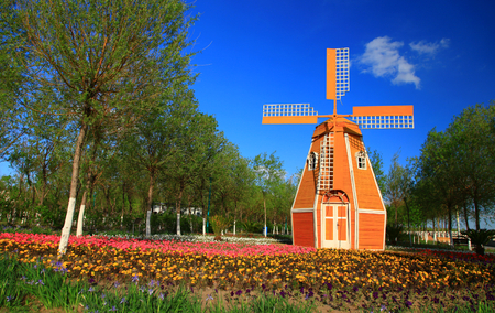 Windmillの写真素材