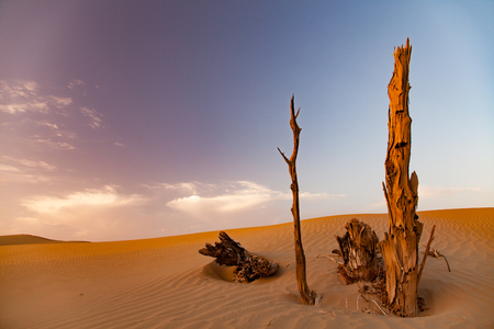 Nature Sceneryの写真素材
