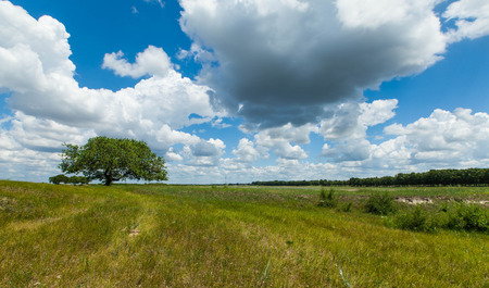Prairieの写真素材