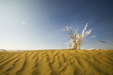 desertの写真素材