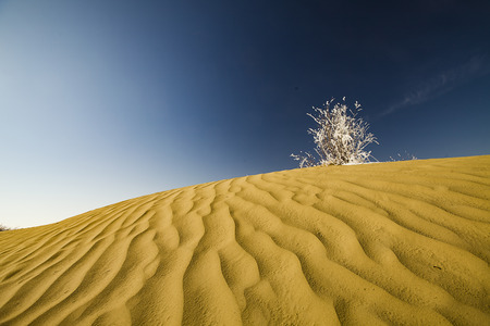 desertの写真素材