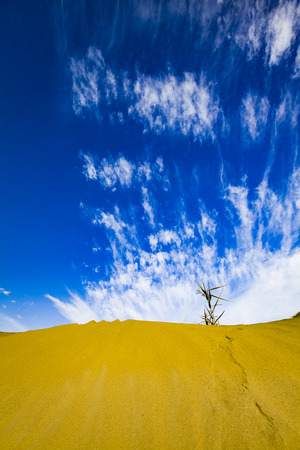 desertの写真素材