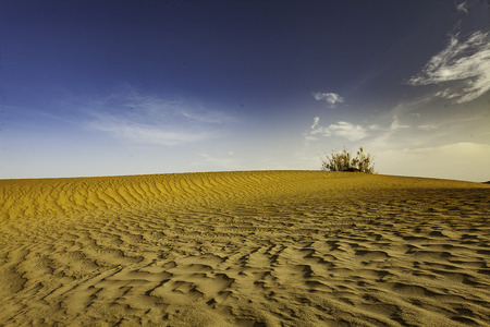 Desertの写真素材