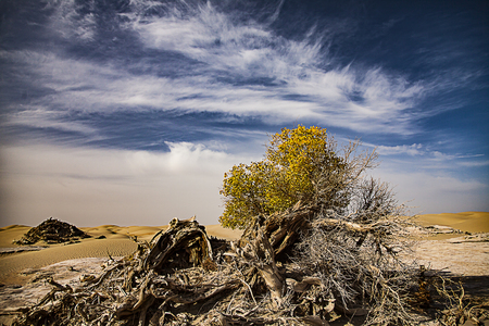 Landscape scenery view of a desertの写真素材