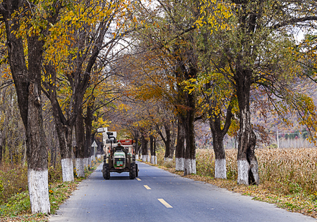 A man driving a harvester on the autumn roadのeditorial素材