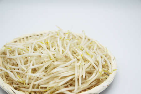 Bean sprouts in a colander on a white backgroundの写真素材