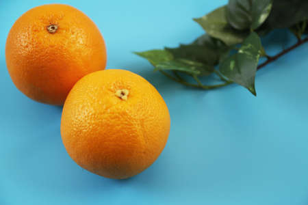 Orange on a light blue backgroundの写真素材