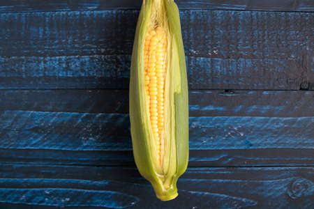 Freshly picked corn on the tableの写真素材