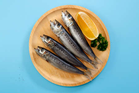 Squid that is the ingredient for multiple freshly caught fish dishes on the tableの写真素材