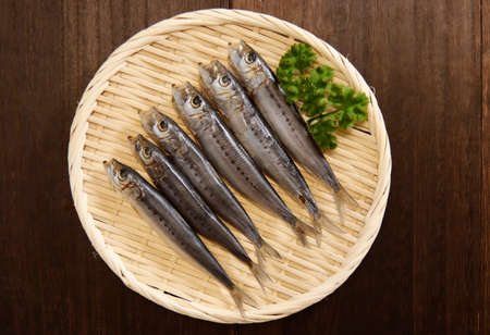 Squid that is the ingredient for multiple freshly caught fish dishes on the tableの写真素材