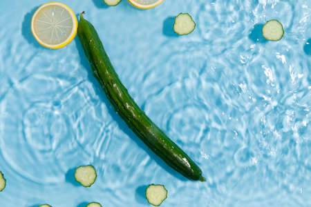 Cucumber floating on the waterの写真素材