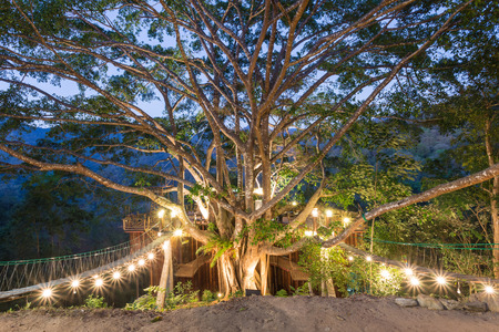 House on the tree with many of lamp in the nightの写真素材
