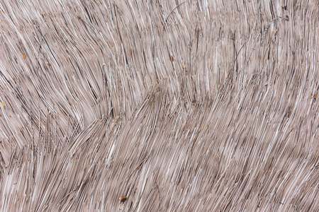 Hay roof texture