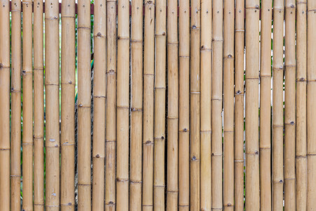 Bamboo wall texture.の写真素材