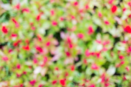 blur style on many colours backgroundの写真素材