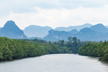 Landscape of green field beside riverside with mountains behind.の写真素材