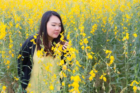 Portrait of beautiful fat woman touching and smelling sunn hemp happily in the flower gardenの写真素材